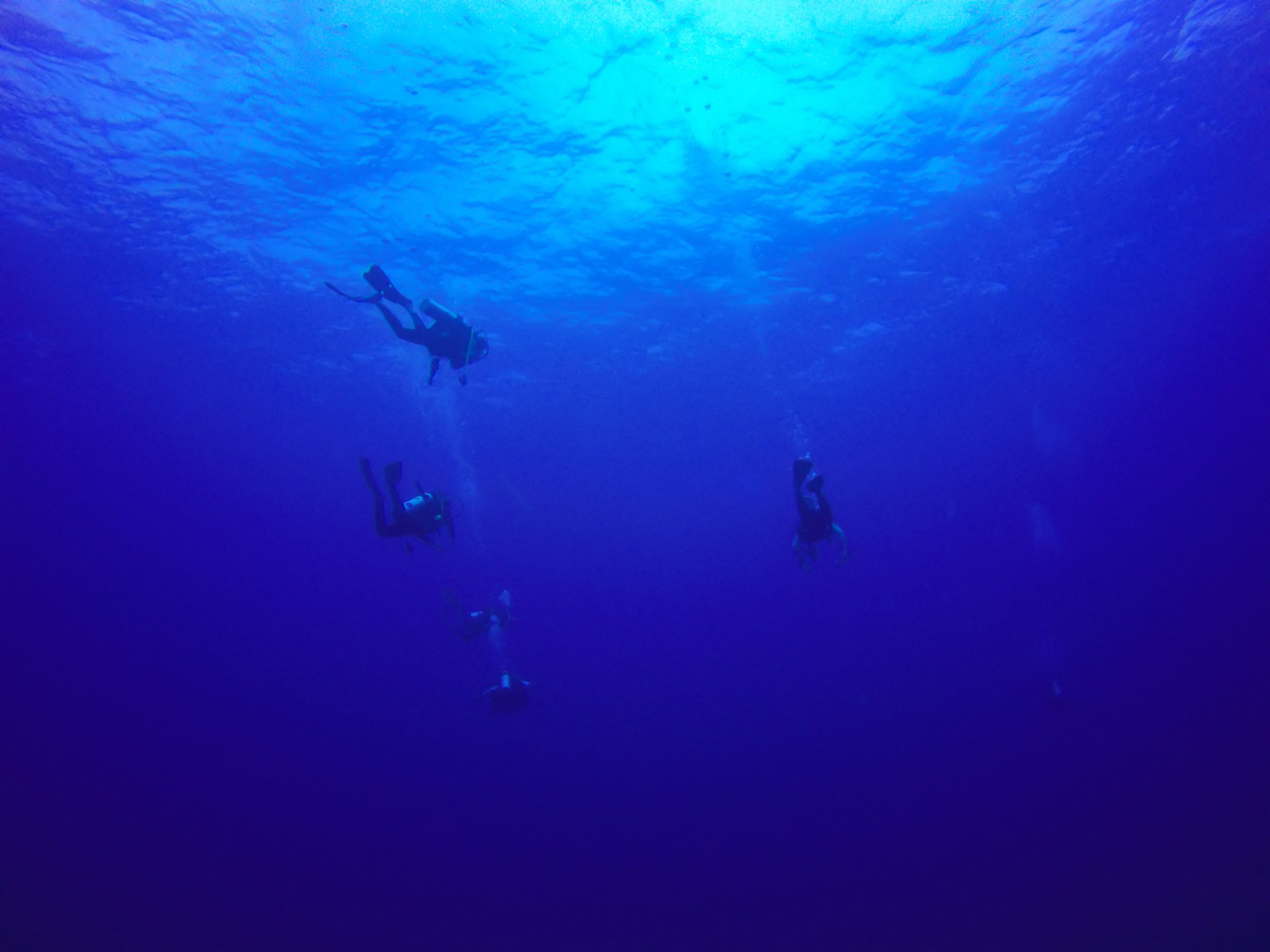 Diving
