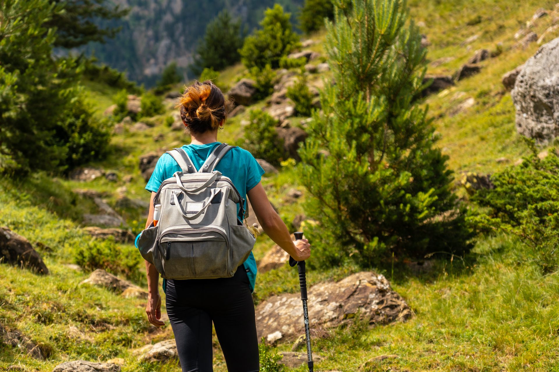 Hiking